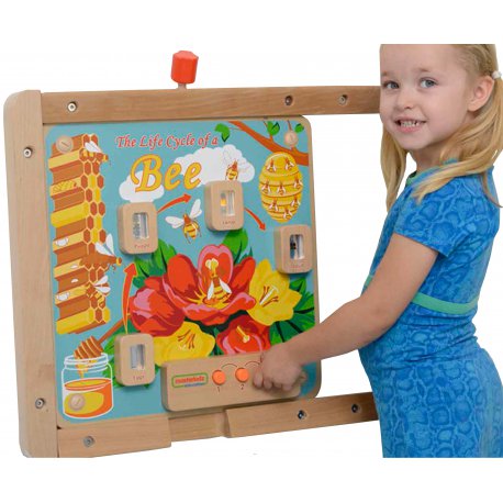 Cykl Życia Pszczoły Edukacyjna Tablica Dla Dzieci Masterkidz