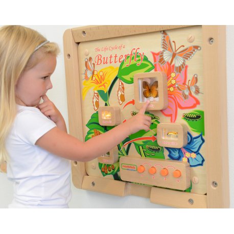 Tablica Edukacyjna Cykl Życia Motylka + Listwy do montażu