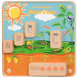 Cykl Życia Rośliny Tablica Edukacyjna + Listwy do montażu