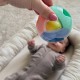 WOOPIE BABY Pastelowa Grzechotka Kula 0m+