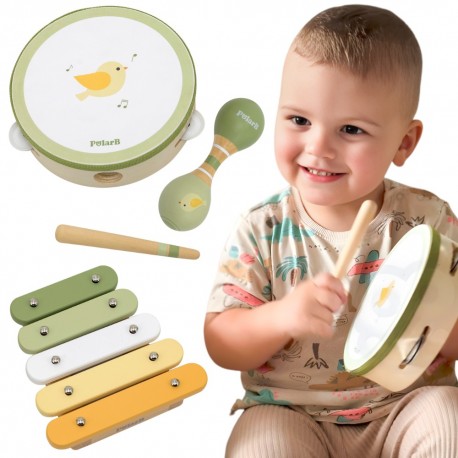 VIGA PolarB Zestaw Instrumentów Muzycznych Z Ptaszkiem