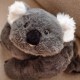 WOOPIE Pluszak Obciążeniowy Duża Koala 65cm 1500g