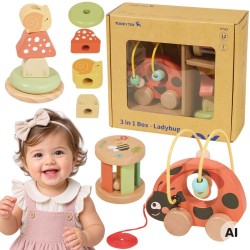 TOOKY TOY Zestaw Biedronka do Zabawy Rozwojowej 3w1